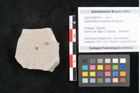 Foto (Objekt + Etikett) von Glyptostrobus europaeus Brongniart (NHMW-GEO-2024-0188-6751)